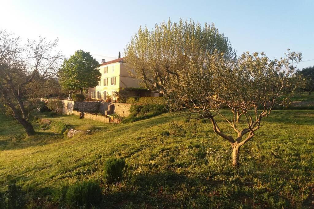 Bastide Au Milieu Des Vignes Et Des Oliviers Aups Villa Bagian luar foto
