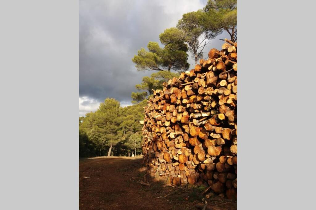 Bastide Au Milieu Des Vignes Et Des Oliviers Aups Villa Bagian luar foto