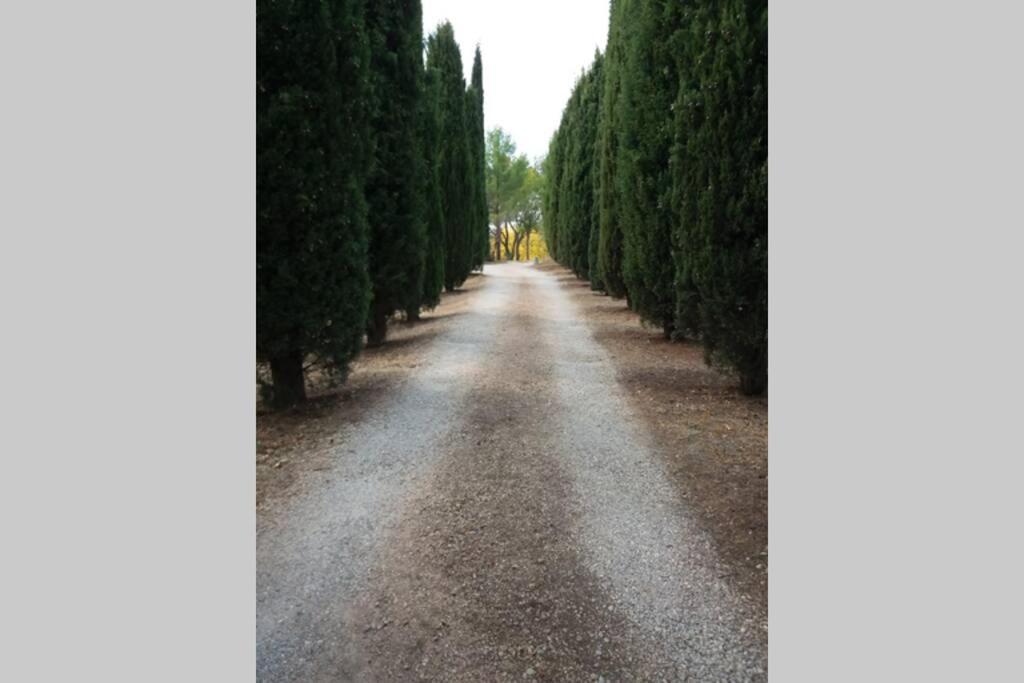 Bastide Au Milieu Des Vignes Et Des Oliviers Aups Villa Bagian luar foto